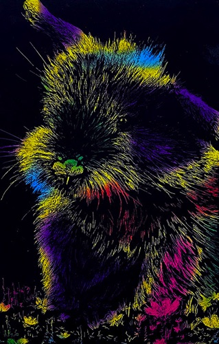 Creative Design : Jazmine Ellis